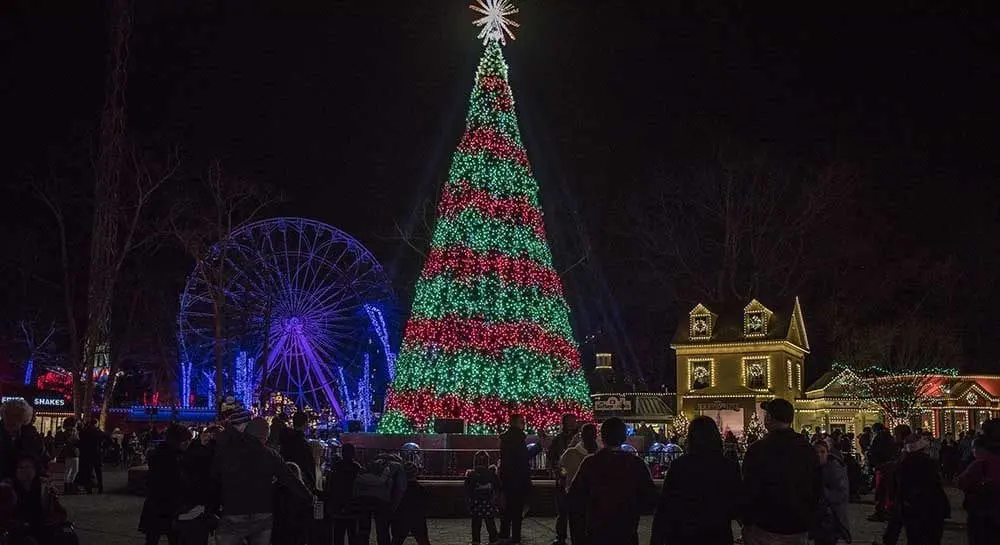 An Ultimate Guide to Local Holiday Activities for NJ Families