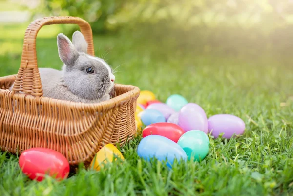 Why is the Easter Bunny the Symbol of Easter?