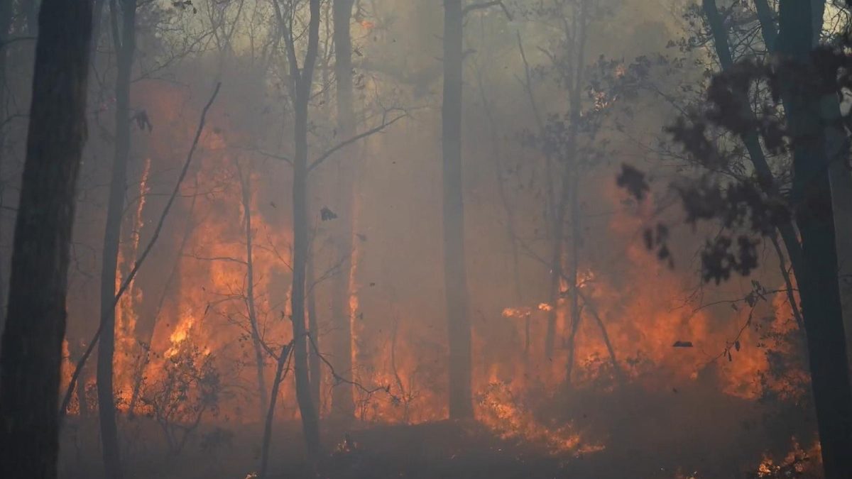 Wildfires In New Jersey: A Wake-Up Call On Climate Change